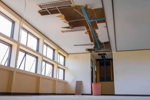Best Flood damage cleanup  in Winsted, CT