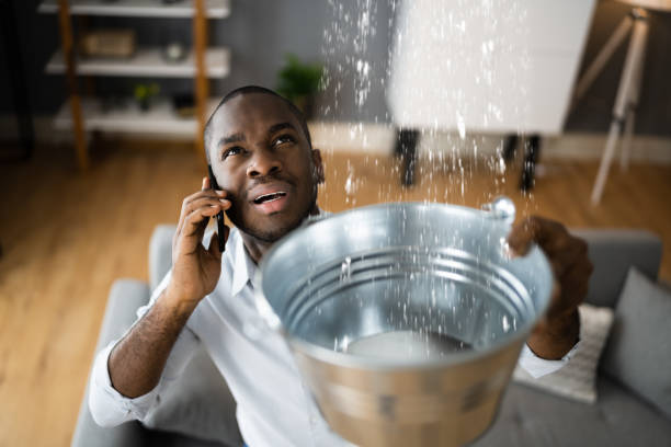 Best Local water damage restoration  in Winsted, CT