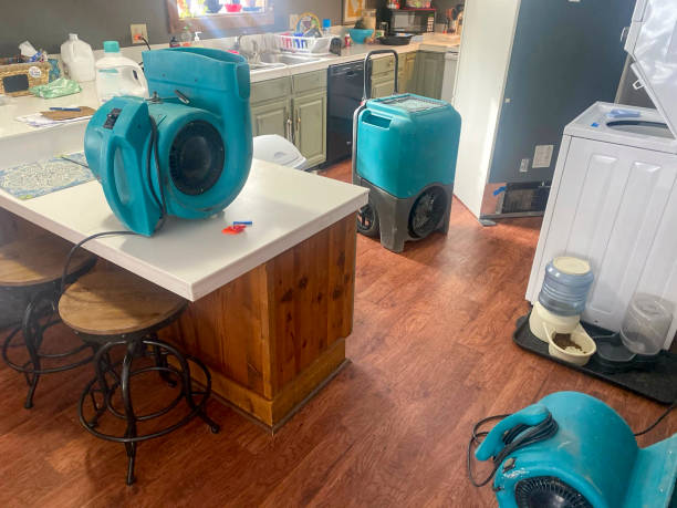 Best 24/7 water damage repair  in Winsted, CT