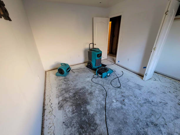 Best Water damage restoration experts  in Winsted, CT