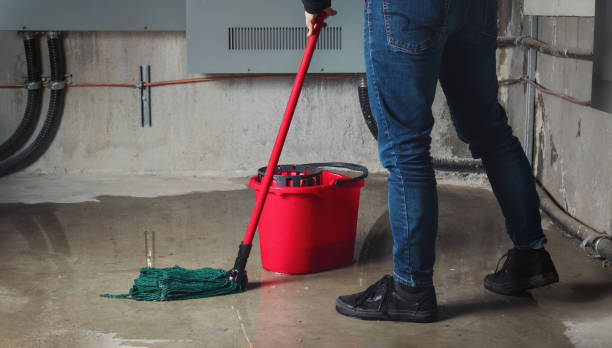 Best Fire Damage Restoration  in Winsted, CT