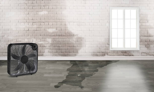 Water damage restoration experts in CT