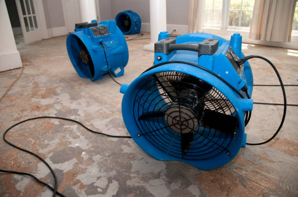 Best Water damage cleanup near me  in Winsted, CT