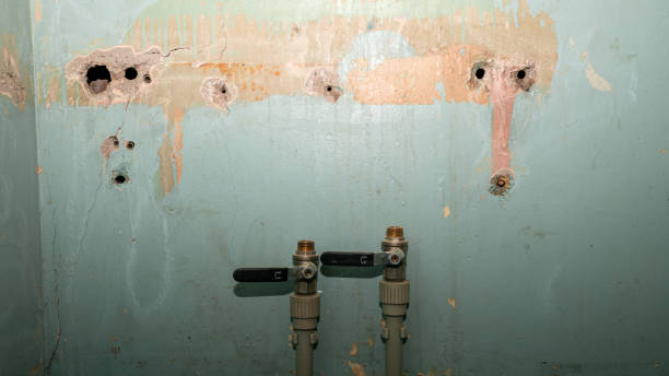 Best Mold removal after water damage  in Winsted, CT