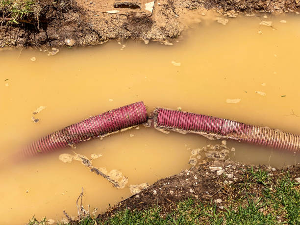 Best Water damage restoration services  in Winsted, CT